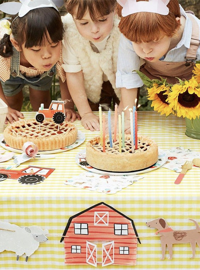 Set of 8 farm themed party hats - Meri Meri