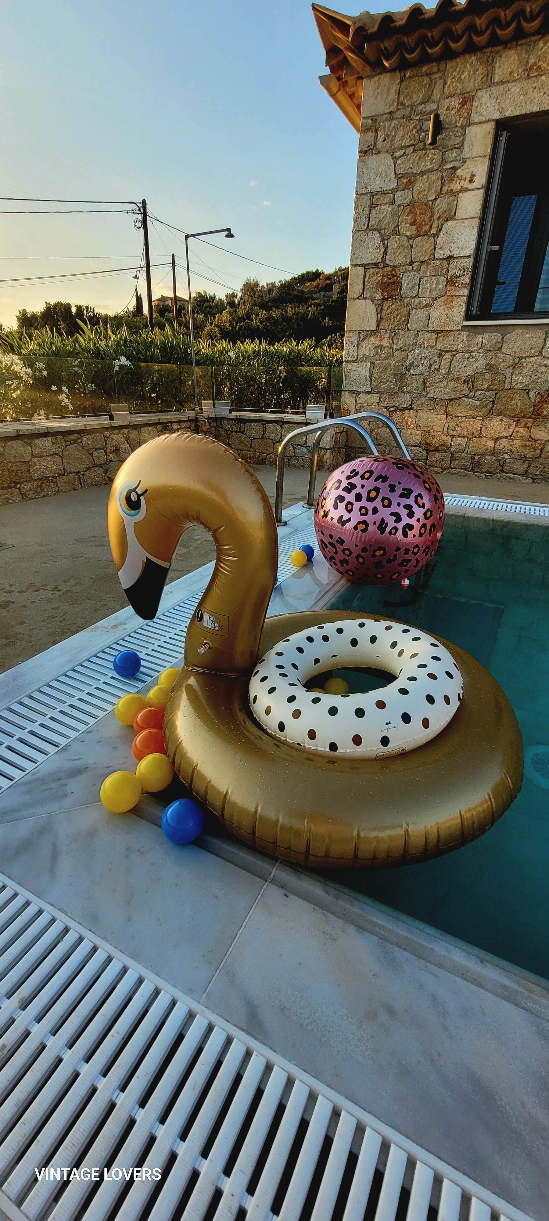 Παιδικό σωσίβιο Χρυσός Κύκνος Swan 6+ετών-Swim Essentials 90cm