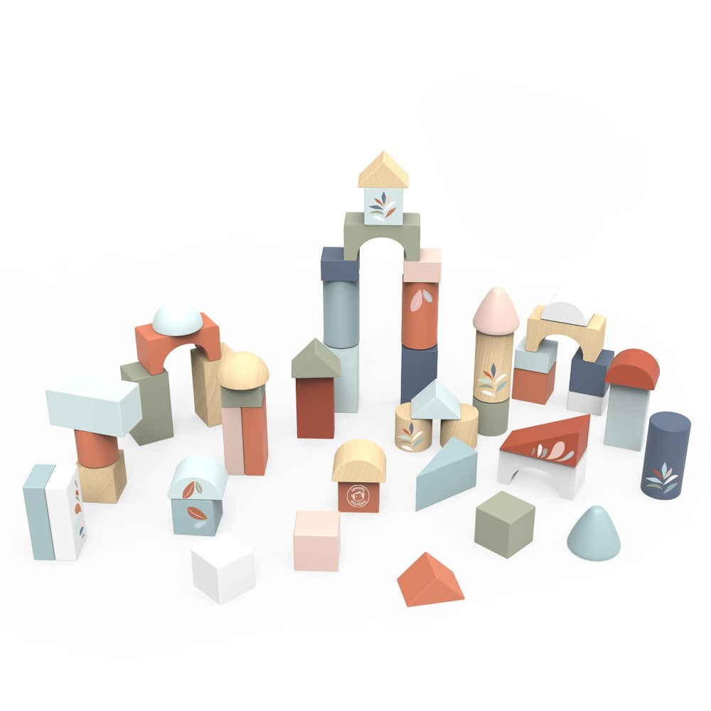 Wooden Building Blocks 50pcs 1-5Y Speedy Monkey 