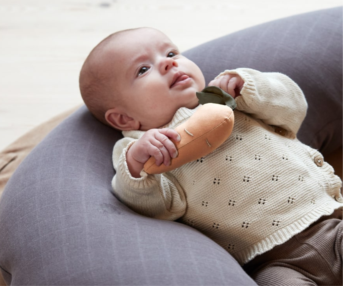 Baby's Rattle Carrot 0+ m 22.5cm Filibabba 