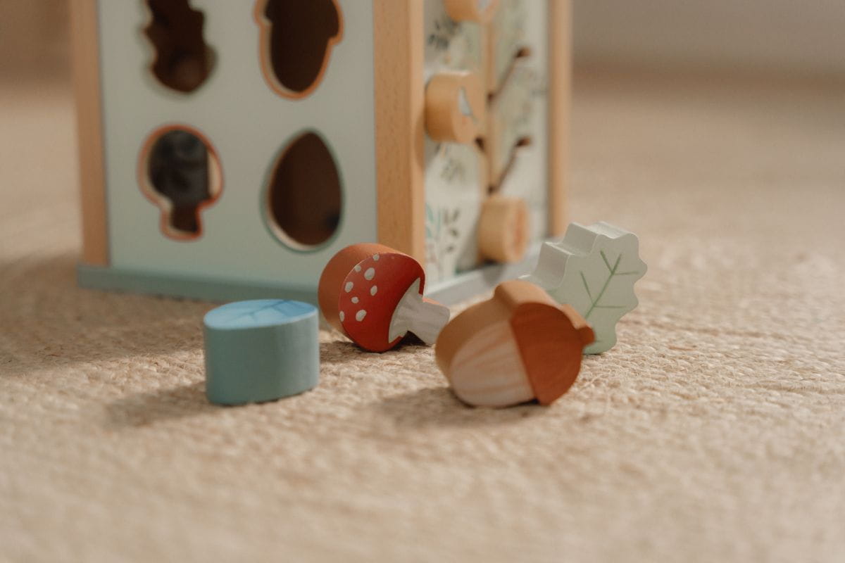 LD7231 Wooden activity cube - Forest Friends
