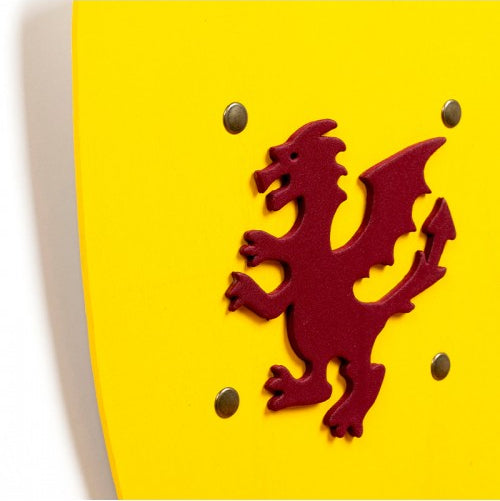 Kid's Camelot Shield 3Y+