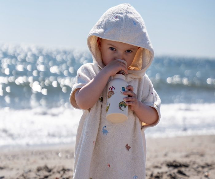 Stainless steel water bottle -  Dino Beach 350ml Filibabba