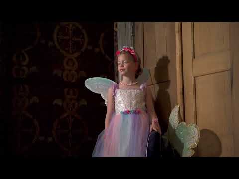 Παιδική στολή φόρεμα Νεράϊδας με φτερά Felicity Fairy  3-10 ετών