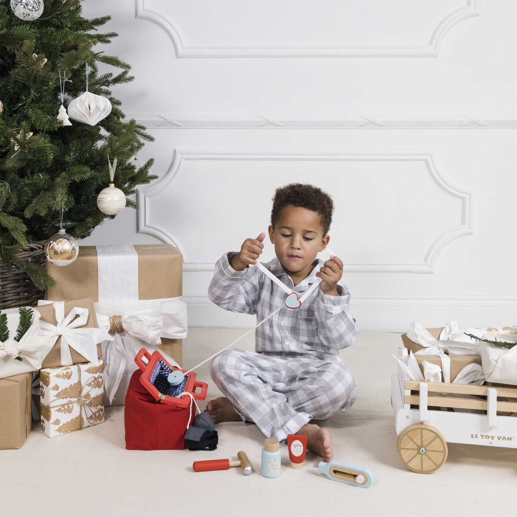 Παιδικό παιχνίδι βαλιτσάκι γιατρού με ξύλινα αξεσουάρ  Le Toy Van LTV-TV 292